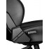 AndaSeat Phantom 3 Series Premium Office Gaming Chair(Black, Black & Gold, White, Grey)