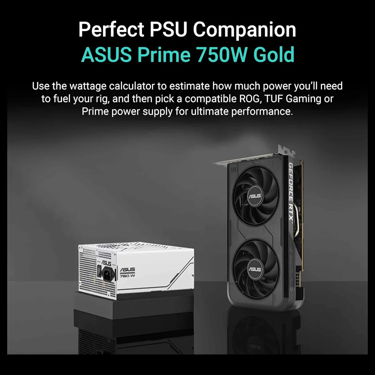 asus rtx 5050 8gb oc