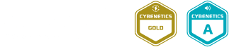ATX 3.1 Icons