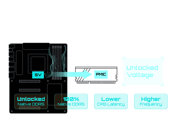 DDR5 Circuit