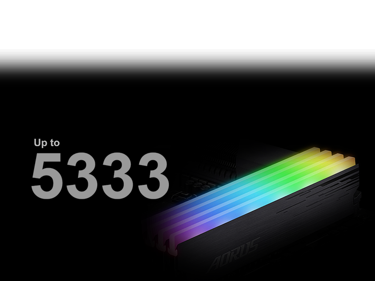 DDR5 module