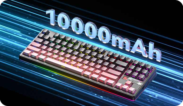 10000mAh Battery