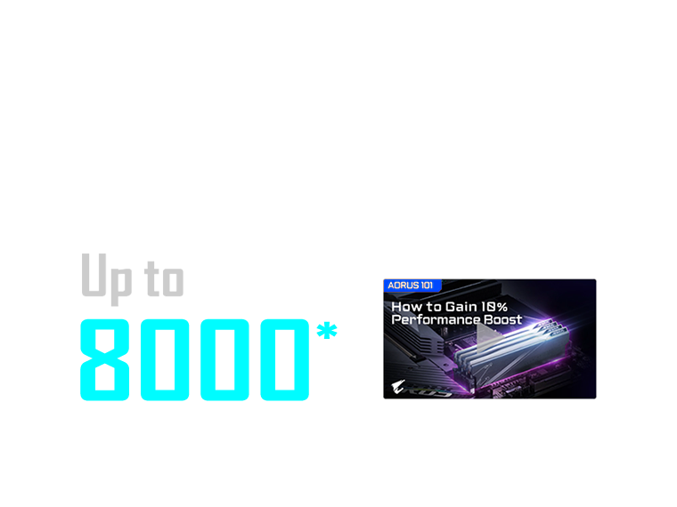 DDR5 EXPO & XMP Support